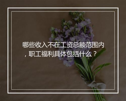 哪些收入不在工资总额范围内,职工福利具体包括什么?