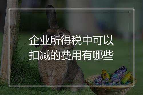 企业所得税中可以扣减的费用有哪些