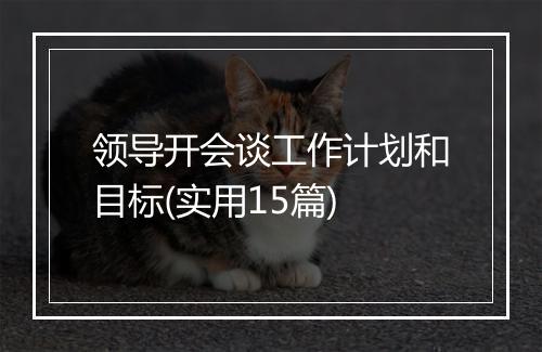 领导开会谈工作计划和目标(实用15篇)