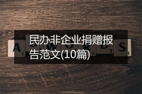民办非企业捐赠报告范文(10篇)