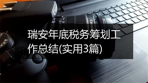 瑞安年底税务筹划工作总结(实用3篇)