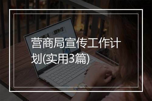 营商局宣传工作计划(实用3篇)