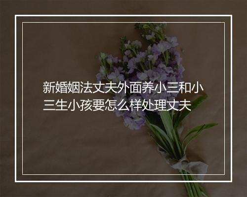 新婚姻法丈夫外面养小三和小三生小孩要怎么样处理丈夫
