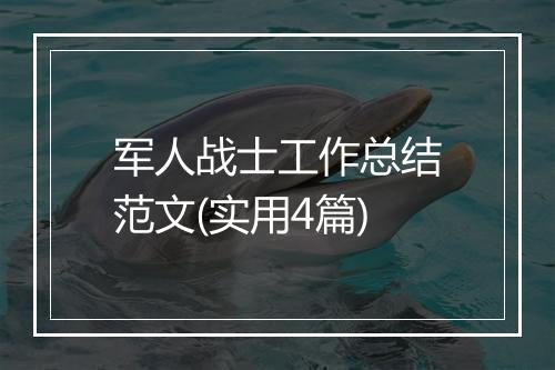 军人战士工作总结范文(实用4篇)