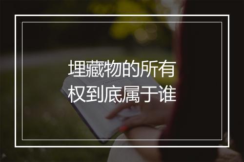 埋藏物的所有权到底属于谁