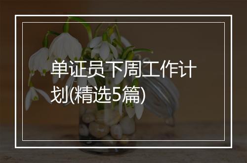 单证员下周工作计划(精选5篇)
