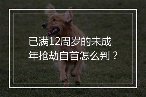 已满12周岁的未成年抢劫自首怎么判?