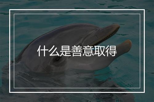 什么是善意取得