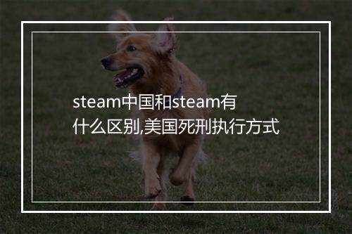 steam中国和steam有什么区别,美国死刑执行方式
