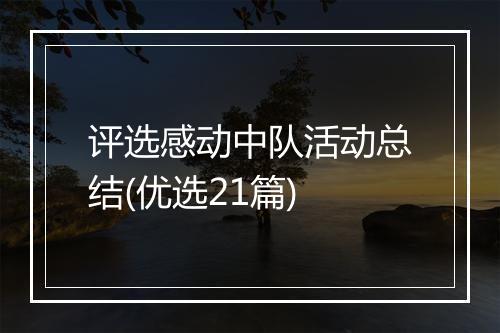 评选感动中队活动总结(优选21篇)