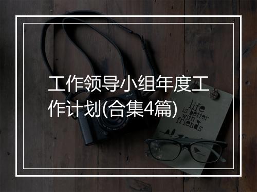 工作领导小组年度工作计划(合集4篇)