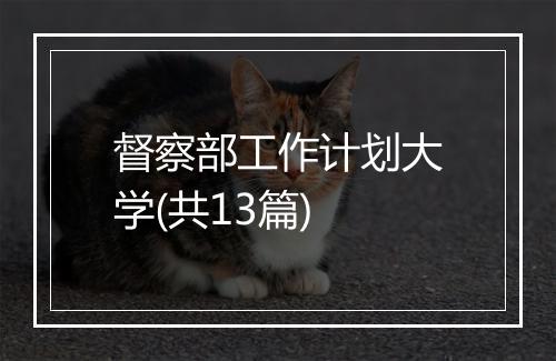 督察部工作计划大学(共13篇)