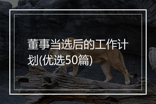 董事当选后的工作计划(优选50篇)