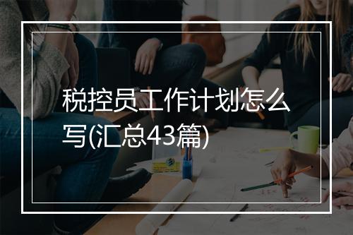 税控员工作计划怎么写(汇总43篇)