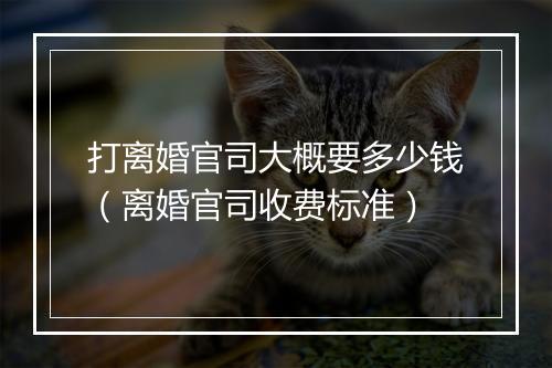 打离婚官司大概要多少钱(离婚官司收费标准)