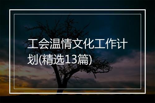 工会温情文化工作计划(精选13篇)