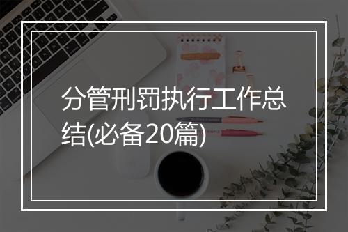 分管刑罚执行工作总结(必备20篇)