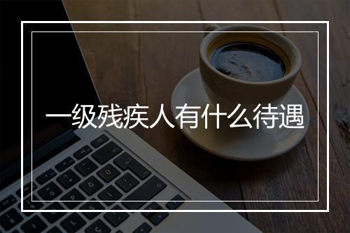 一级残疾人有什么待遇