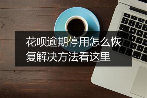 花呗逾期停用怎么恢复解决方法看这里