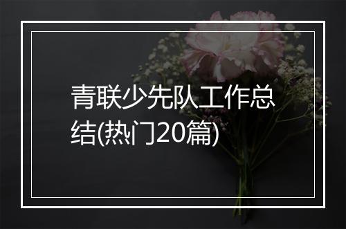 青联少先队工作总结(热门20篇)