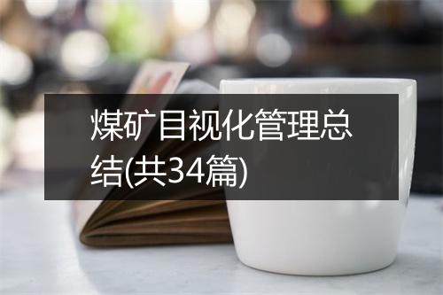煤矿目视化管理总结(共34篇)
