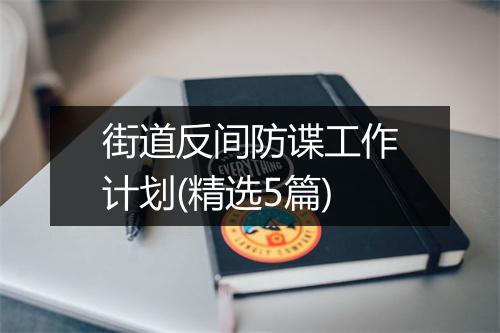 街道反间防谍工作计划(精选5篇)