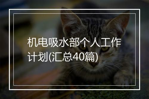 机电吸水部个人工作计划(汇总40篇)