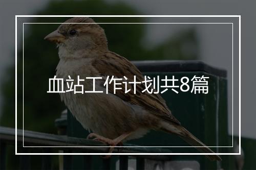 血站工作计划共8篇