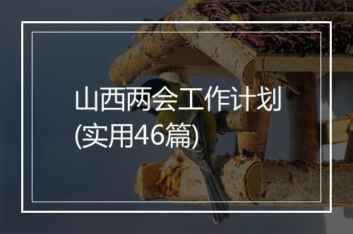 山西两会工作计划(实用46篇)
