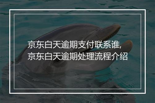 京东白天逾期支付联系谁,京东白天逾期处理流程介绍