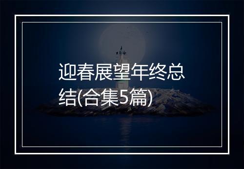 迎春展望年终总结(合集5篇)