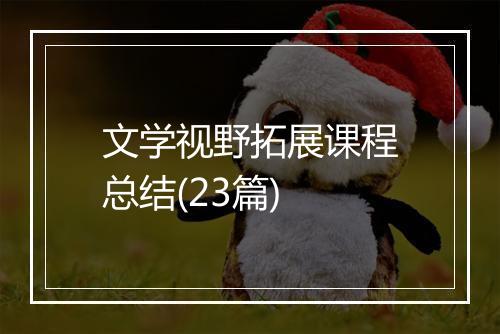 文学视野拓展课程总结(23篇)