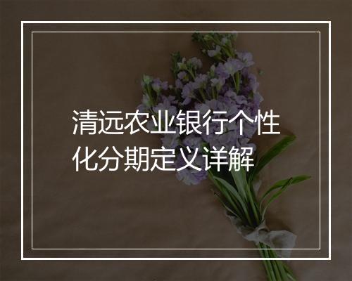 清远农业银行个性化分期定义详解