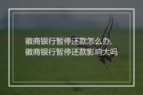 徽商银行暂停还款怎么办,徽商银行暂停还款影响大吗