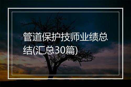 管道保护技师业绩总结(汇总30篇)