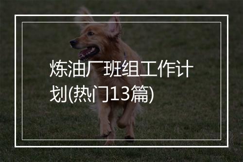 炼油厂班组工作计划(热门13篇)