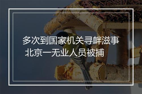 多次到国家机关寻衅滋事 北京一无业人员被捕