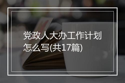 党政人大办工作计划怎么写(共17篇)
