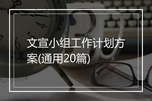 文宣小组工作计划方案(通用20篇)