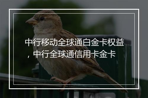 中行移动全球通白金卡权益,中行全球通信用卡金卡