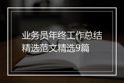 业务员年终工作总结精选范文精选9篇