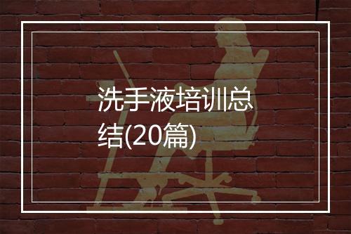 洗手液培训总结(20篇)