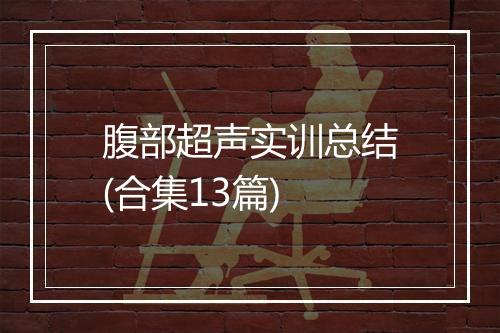 腹部超声实训总结(合集13篇)