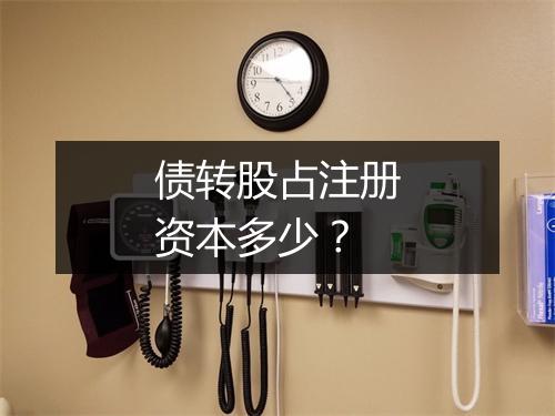 债转股占注册资本多少?