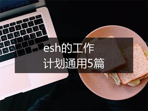 esh的工作计划通用5篇