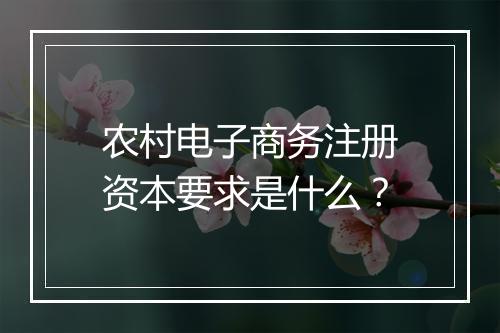 农村电子商务注册资本要求是什么?