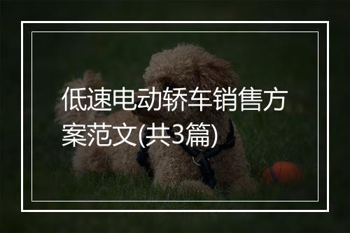低速电动轿车销售方案范文(共3篇)