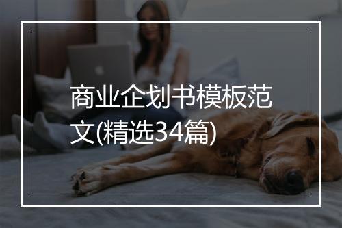 商业企划书模板范文(精选34篇)