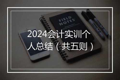 2024会计实训个人总结(共五则)