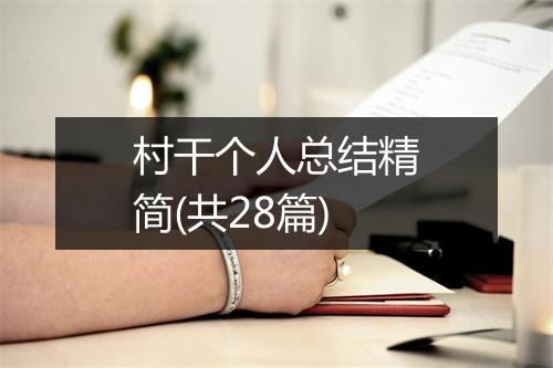 村干个人总结精简(共28篇)